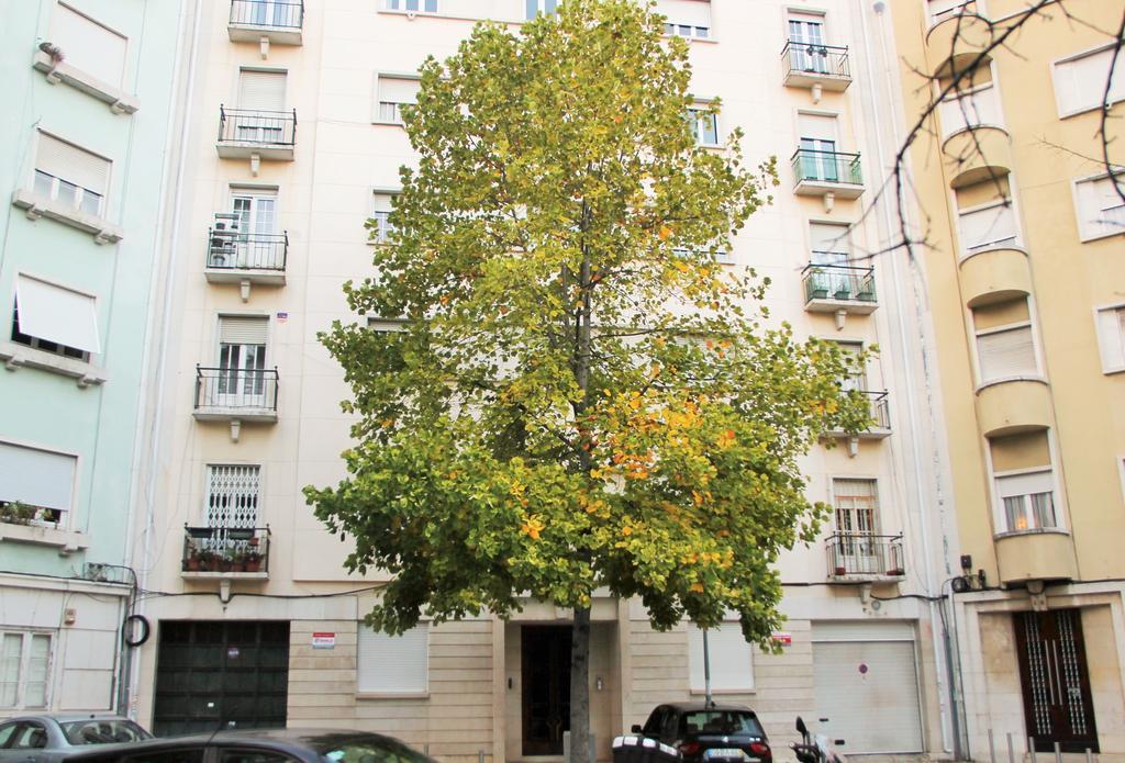 Casa Da Praceta Apartment Lisabona Exterior foto